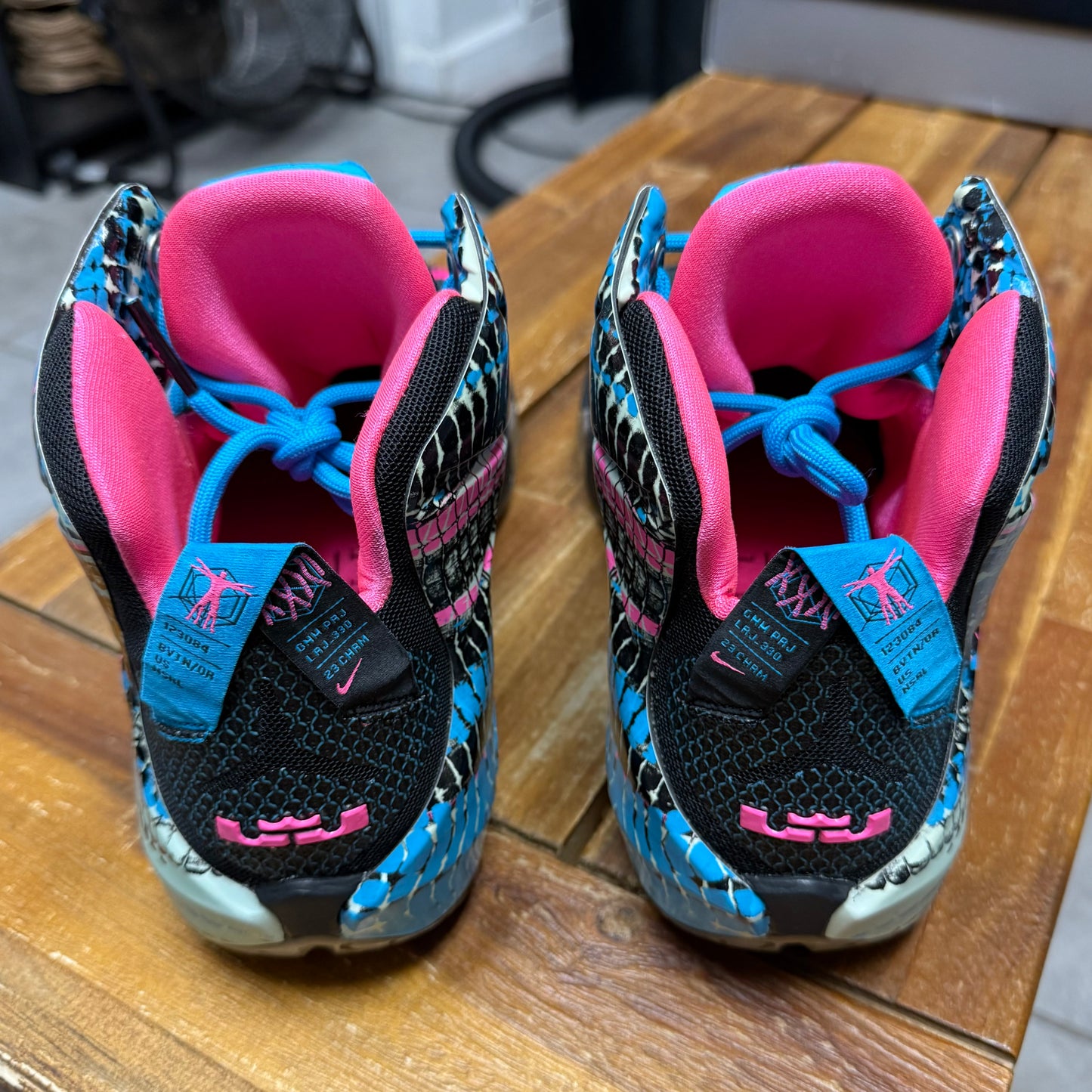 LeBron 12 ‘23 Chromosomes’ (Worn)