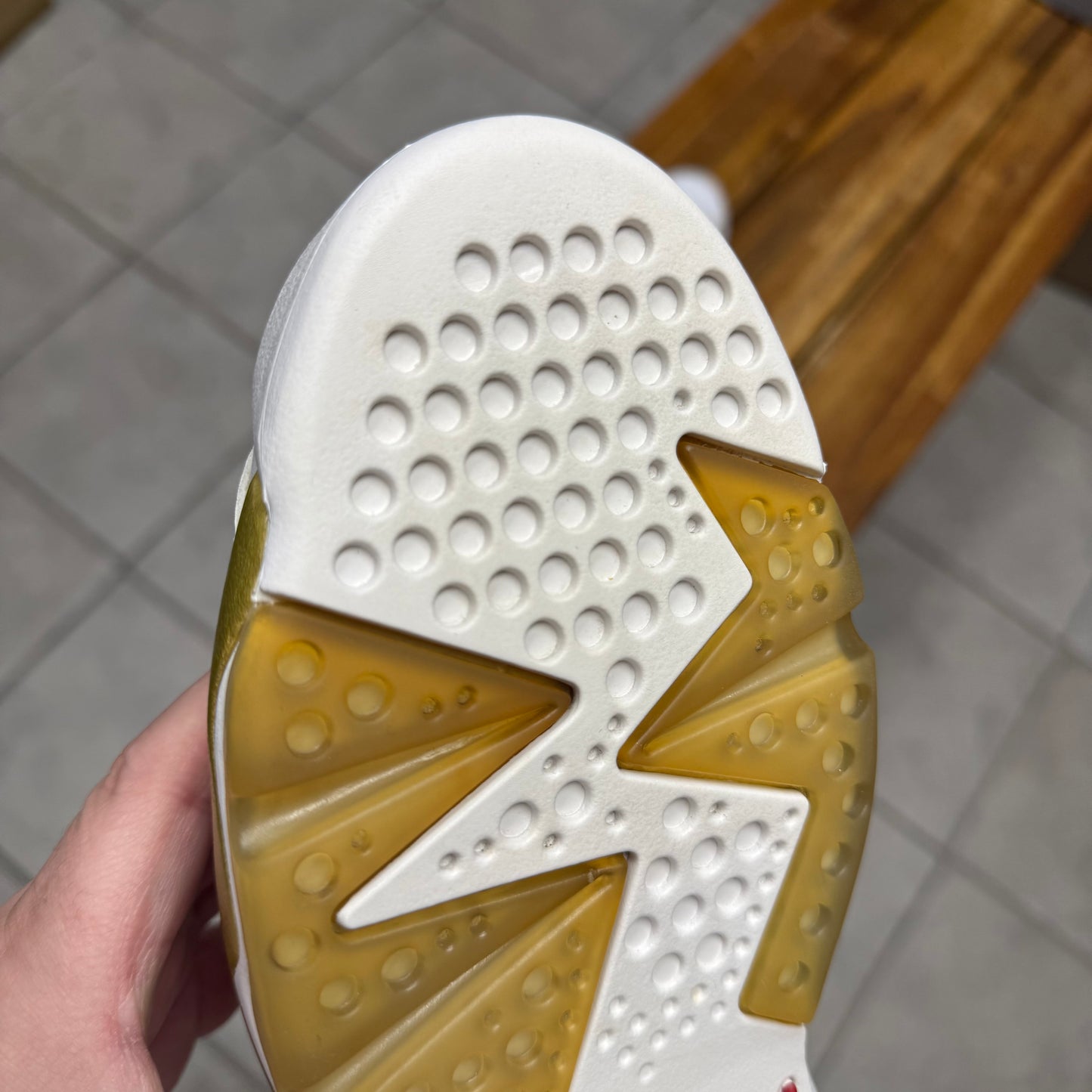 Jordan 6 GMP (Worn)