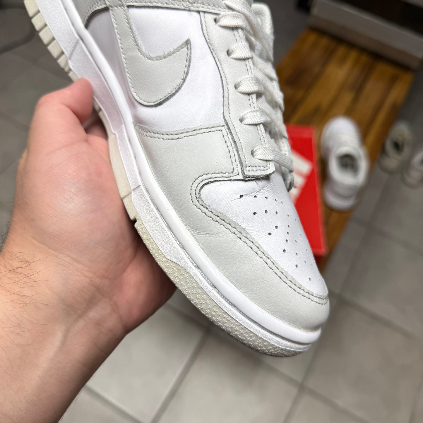 Dunk Low Photon Dust (Woman’s/Worn)