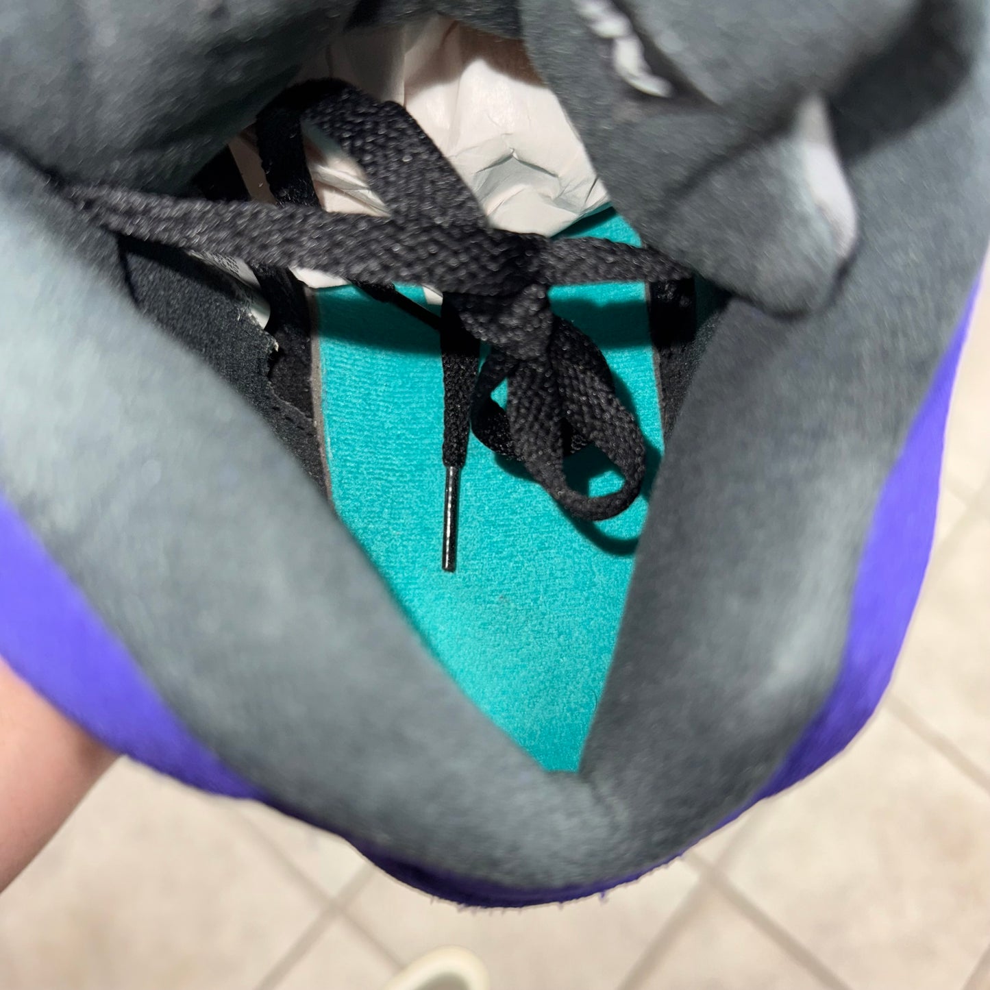 Jordan 5 Alternate Grape (Worn)