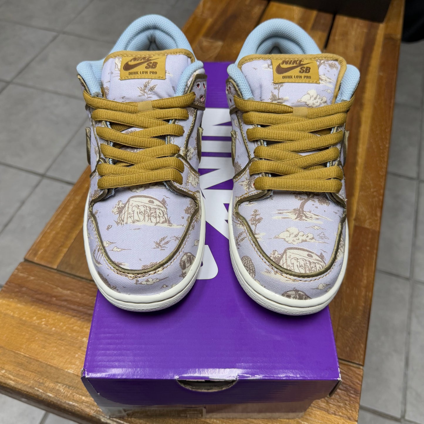 Dunk Low SB Premium City of Style Pack