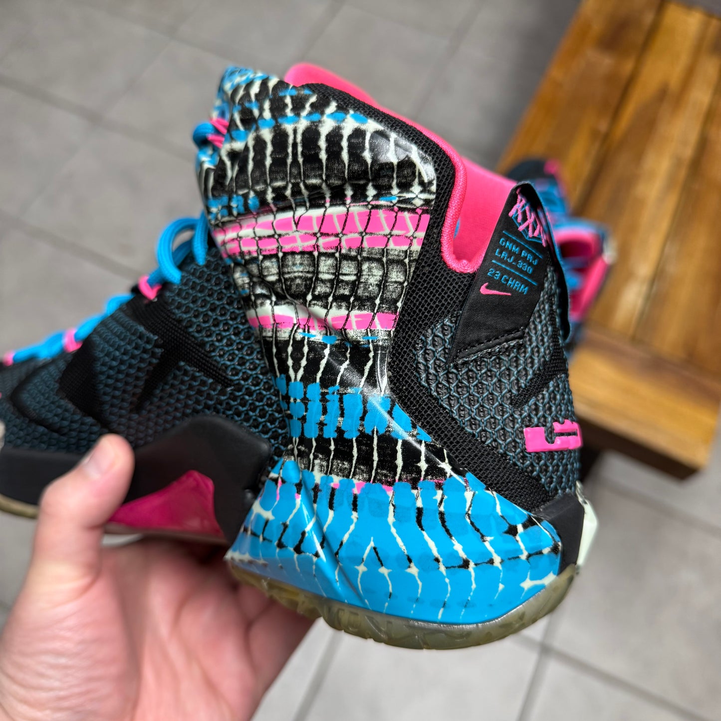 LeBron 12 ‘23 Chromosomes’ (Worn)