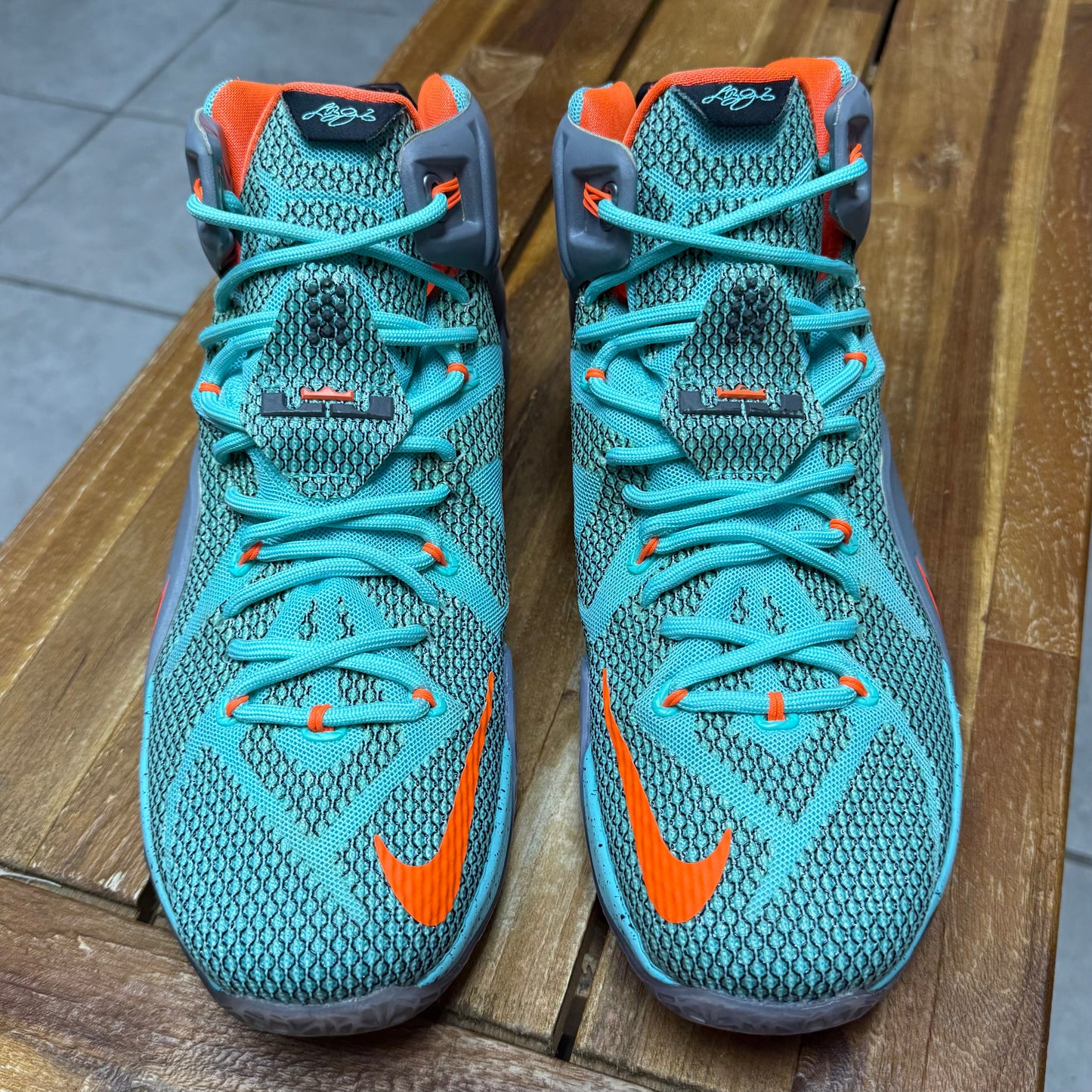 Nike LeBron 12 NSRL (Worn)