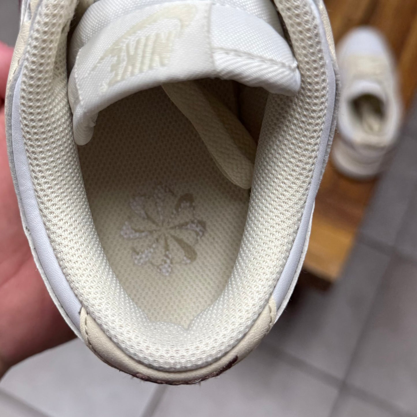 Dunk Next Nature Low Coconut Mauve W (Worn)