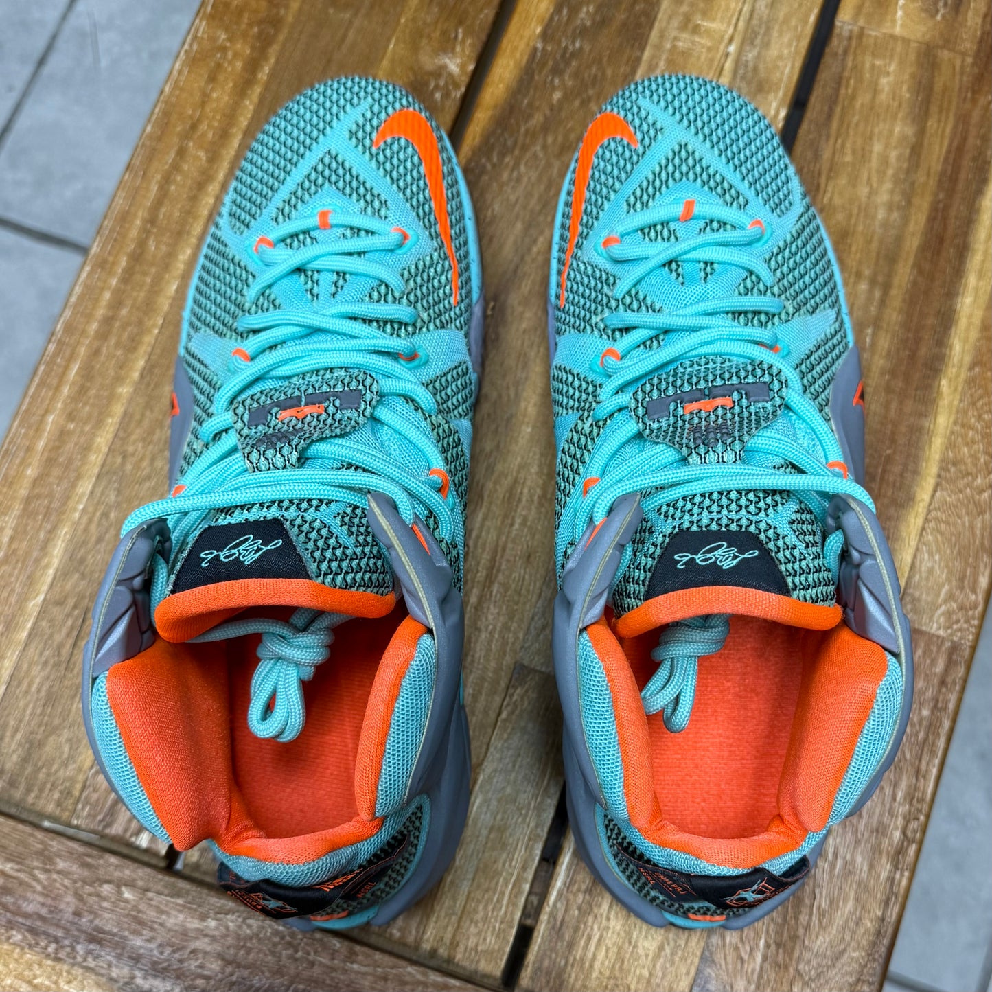 Nike LeBron 12 NSRL (Worn)