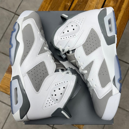 Jordan 6 Cool Grey (Worn)
