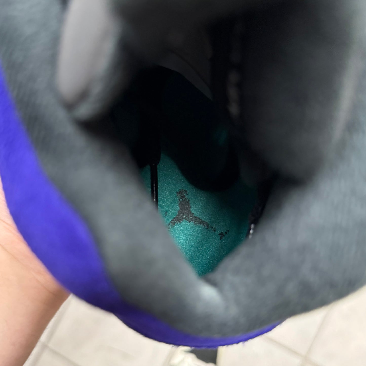 Jordan 5 Alternate Grape (Worn)