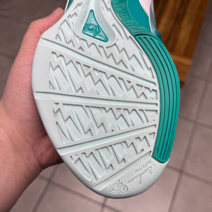 Nike Zoom KD 4 ‘Easter’ 2012 (Worn)