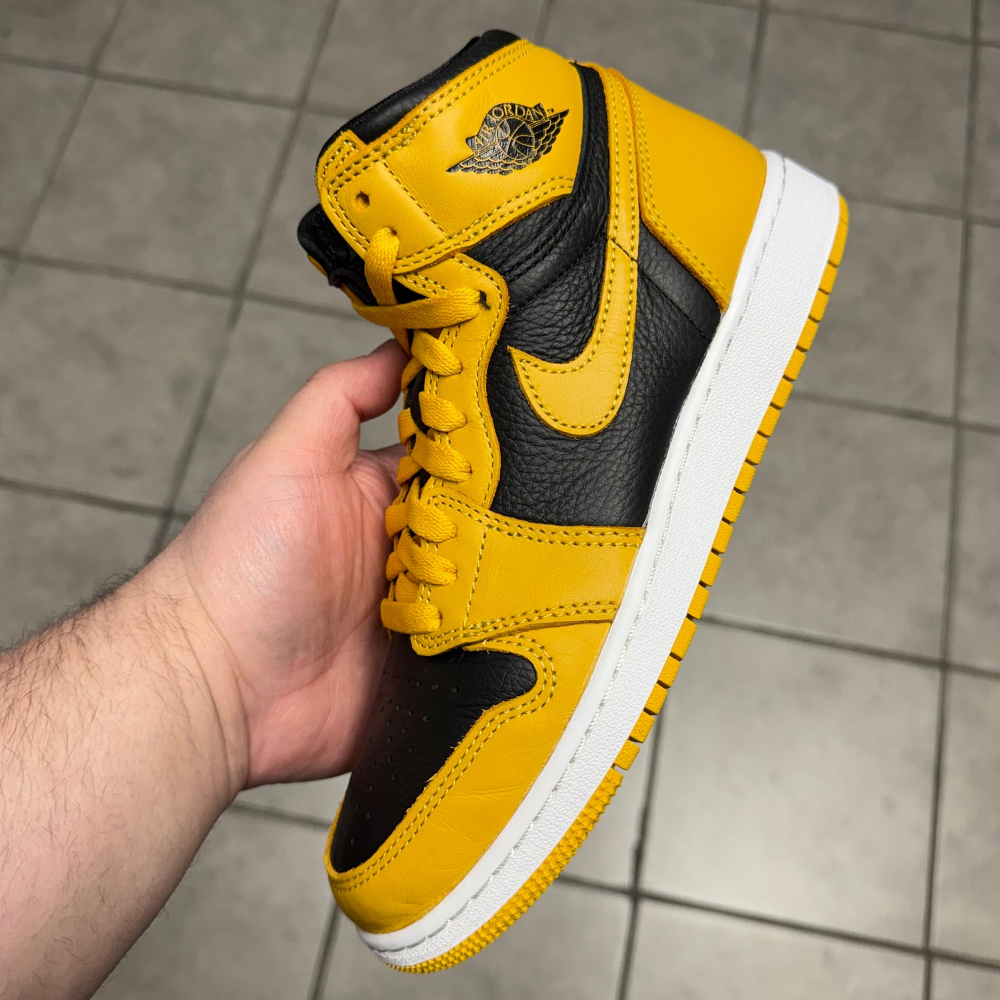 Jordan 1 High OG Pollen (Worn)