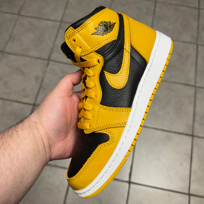 Jordan 1 High OG Pollen (Worn)