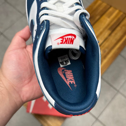 Dunk Low Valerian Blue