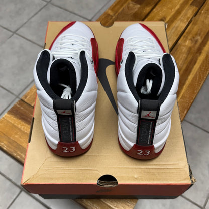 Jordan 12 Cherry 2023 (Worn)