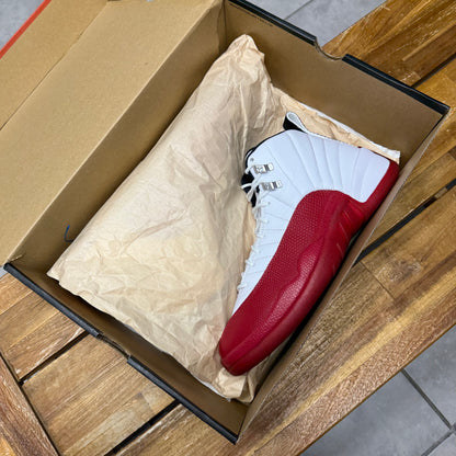 Jordan 12 Cherry 2023 (Worn)