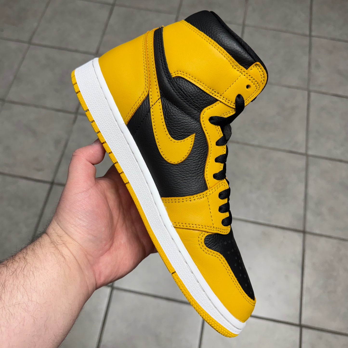 Jordan 1 High OG Pollen (Worn)