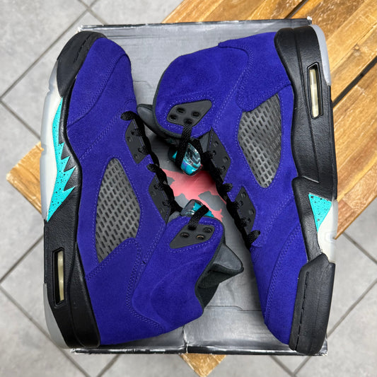 Jordan 5 Alternate Grape (Worn)
