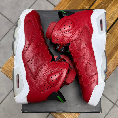 Jordan 6 History of Jordan (Worn)