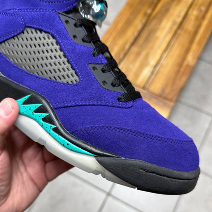 Jordan 5 Alternate Grape (Worn)