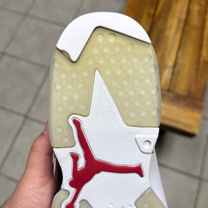 Jordan 6 Carmine (Worn)