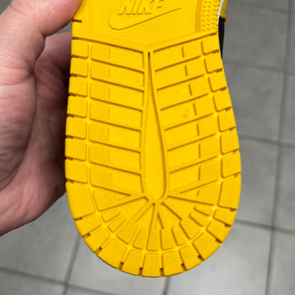 Jordan 1 High OG Pollen (Worn)