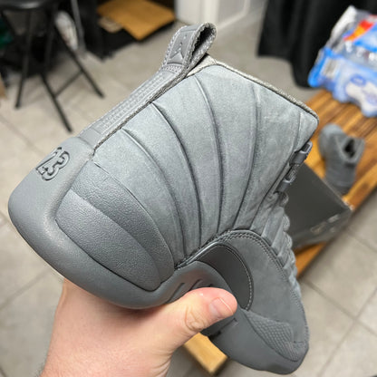 Jordan 12 x PSNY Dark Grey (Worn)