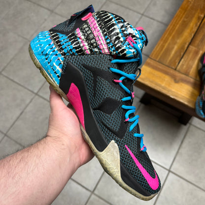 LeBron 12 ‘23 Chromosomes’ (Worn)