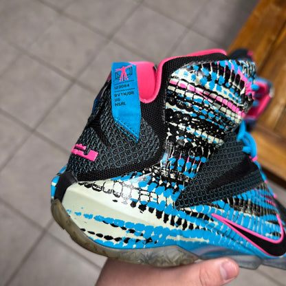 LeBron 12 ‘23 Chromosomes’ (Worn)
