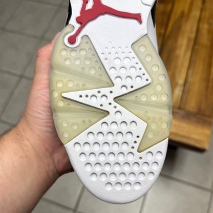Jordan 6 Carmine (Worn)
