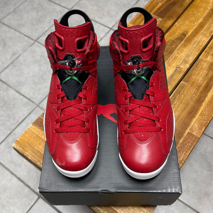 Jordan 6 History of Jordan (Worn)