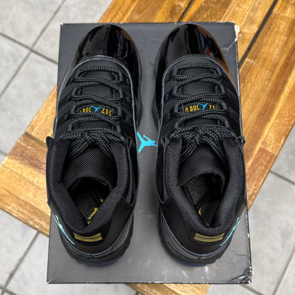 Jordan 11 Gamma Blue 2025 (Worn)
