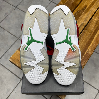 Jordan 6 History of Jordan (Worn)