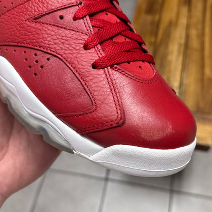 Jordan 6 History of Jordan (Worn)