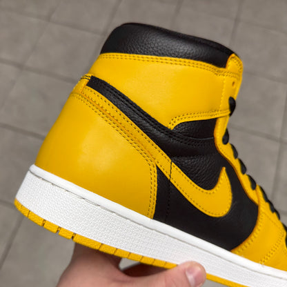 Jordan 1 High OG Pollen (Worn)