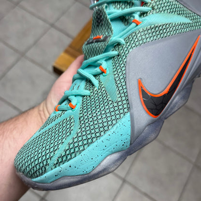 Nike LeBron 12 NSRL (Worn)