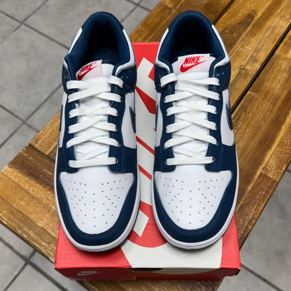 Dunk Low Valerian Blue