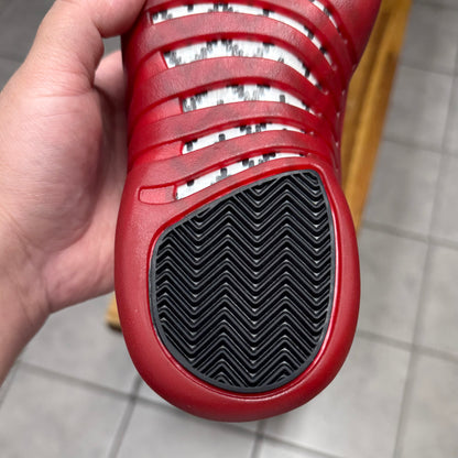 Jordan 12 Cherry 2023 (Worn)