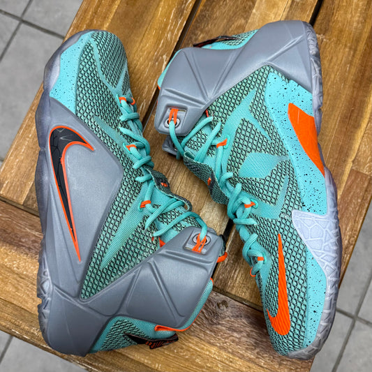 Nike LeBron 12 NSRL (Worn)