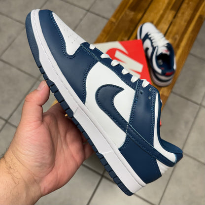 Dunk Low Valerian Blue