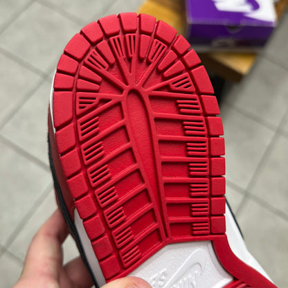 SB Dunk Low J-Pack Chicago (Worn)