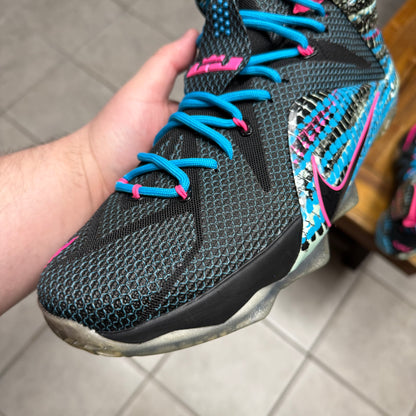 LeBron 12 ‘23 Chromosomes’ (Worn)