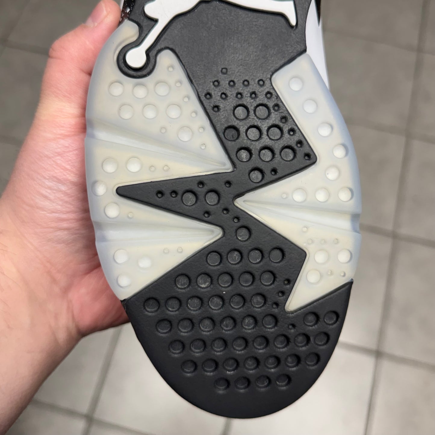 Jordan 6 Reverse Oreo (Worn)