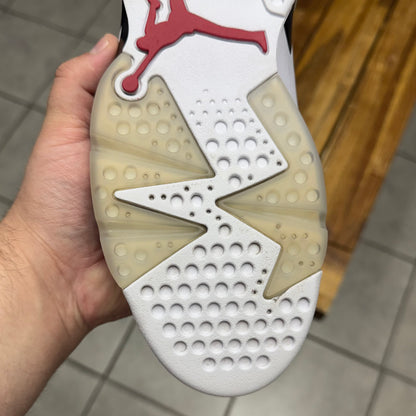 Jordan 6 Carmine (Worn)
