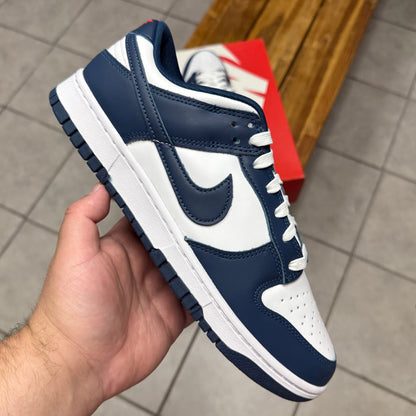 Dunk Low Valerian Blue