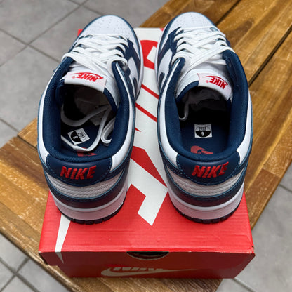 Dunk Low Valerian Blue