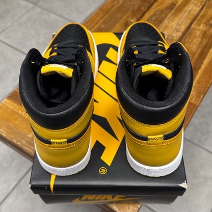 Jordan 1 High OG Pollen (Worn)