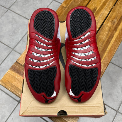 Jordan 12 Cherry 2023 (Worn)