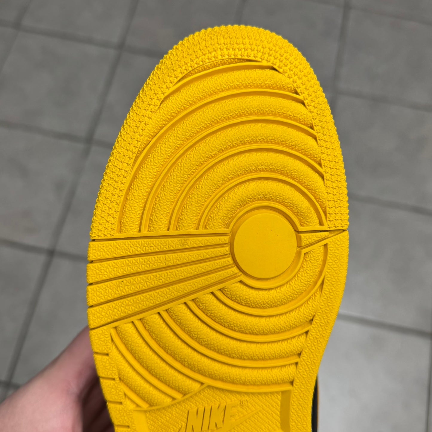 Jordan 1 High OG Pollen (Worn)