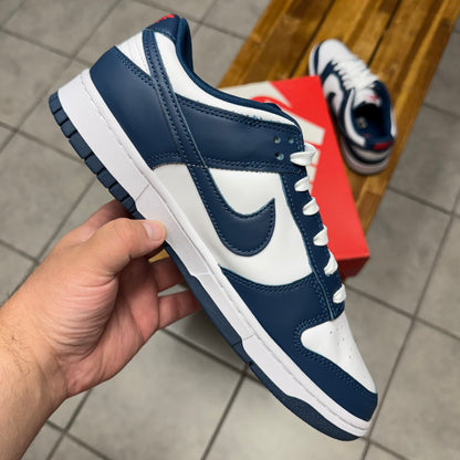 Dunk Low Valerian Blue