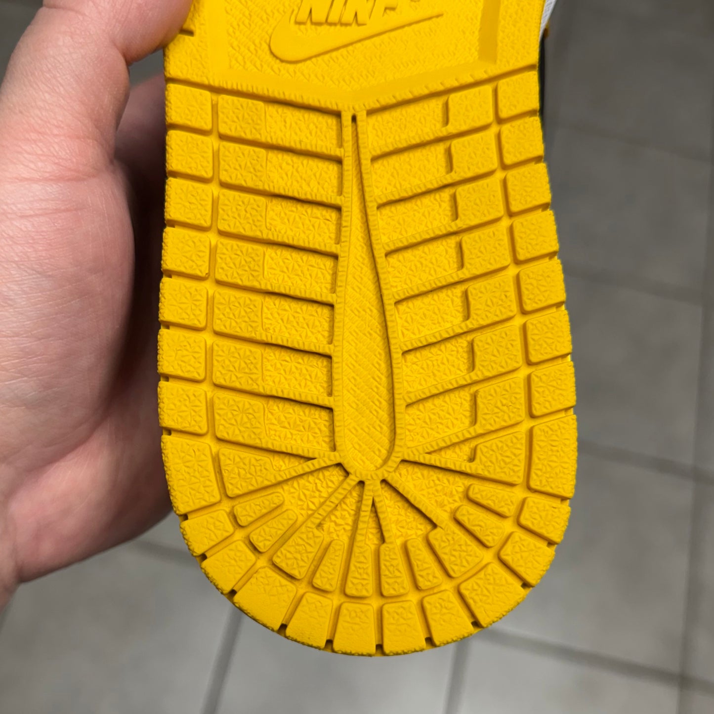 Jordan 1 High OG Pollen (Worn)
