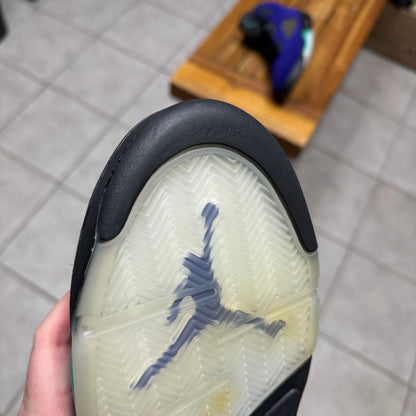 Jordan 5 Alternate Grape (Worn)