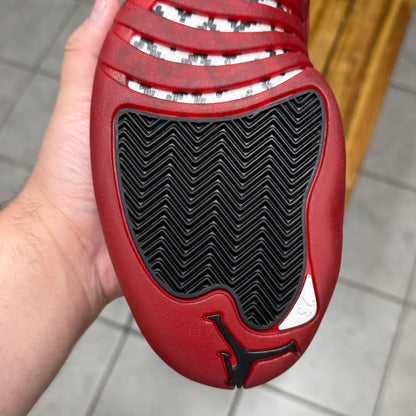 Jordan 12 Cherry 2023 (Worn)